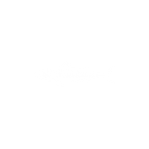 stargoldocean